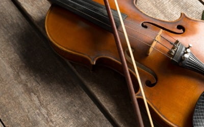 "가장 비싸게 팔렸다"…300년 된 바이올린의 정체 